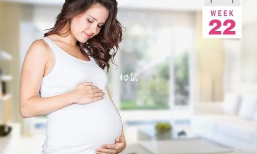 人形人参果 长寿果-人寿果的功效网—知名的人寿果是什么时候成熟网站,分享长寿人寿果知识